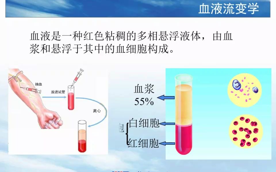 [10.2] 血液流变学哔哩哔哩bilibili