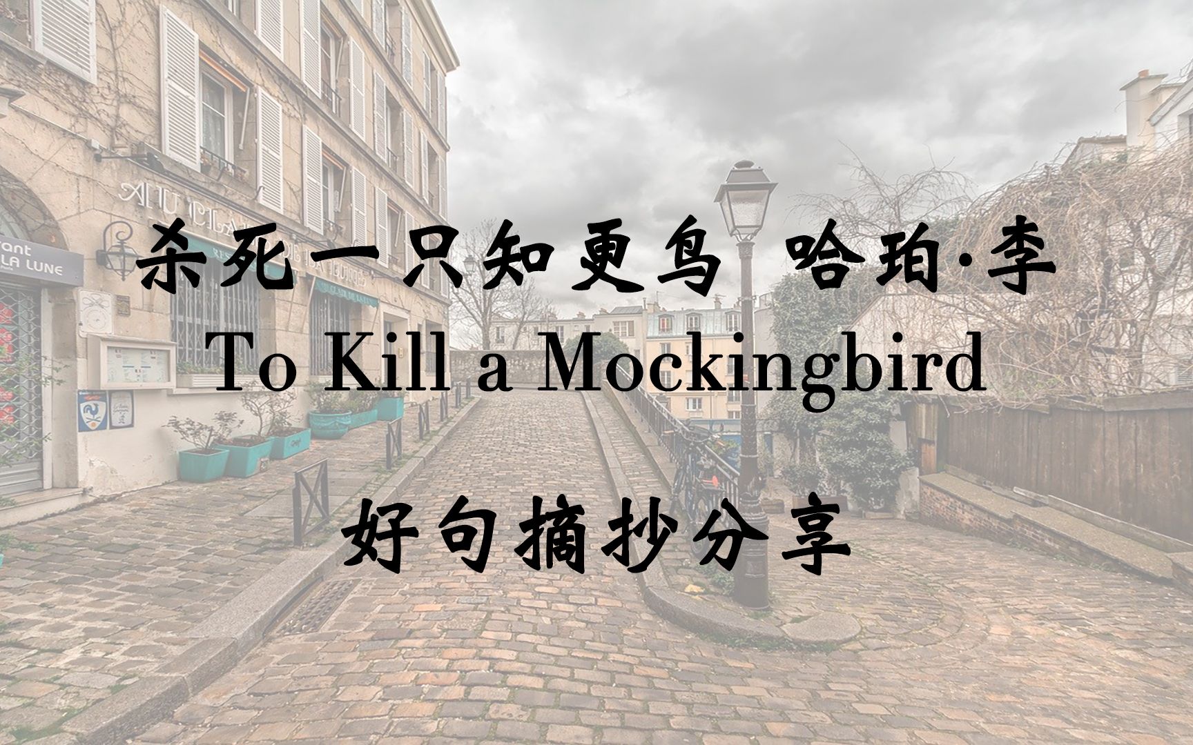 【杀死一只知更鸟】双语 好句集锦  杀死一只知更鸟就是一桩罪恶哔哩哔哩bilibili