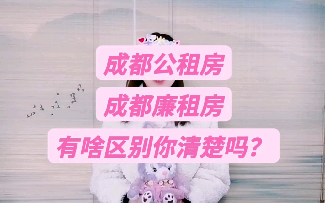 成都公租房与成都廉租房的区别,你真的清楚吗?哔哩哔哩bilibili