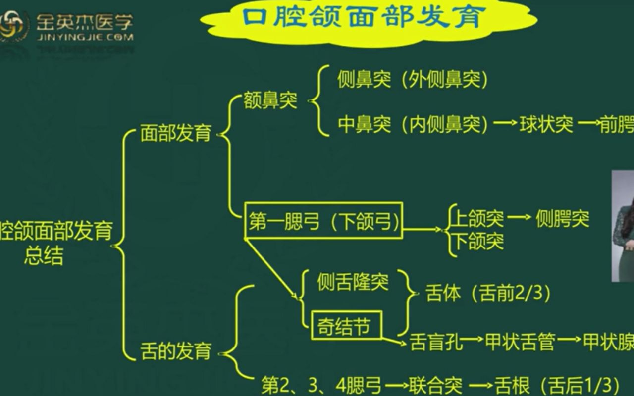 [图]口腔组织病理学核心考点总结