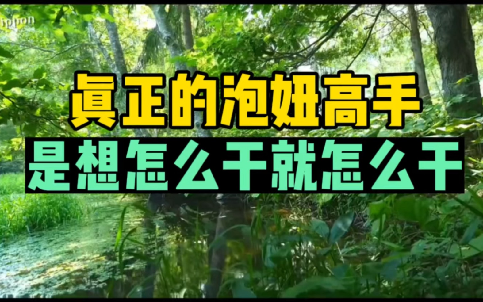 真正的泡妞高手是想怎么干就怎么干,不会被套路技巧束缚.哔哩哔哩bilibili