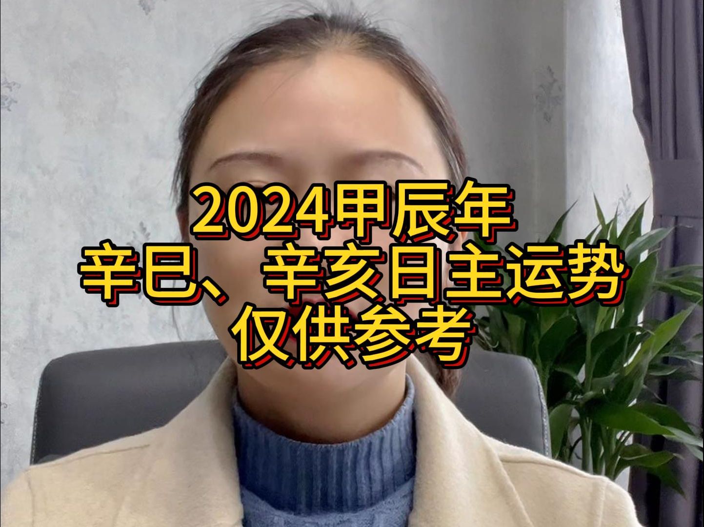 2024甲辰年运势(辛巳、辛亥日主)仅供参考哔哩哔哩bilibili