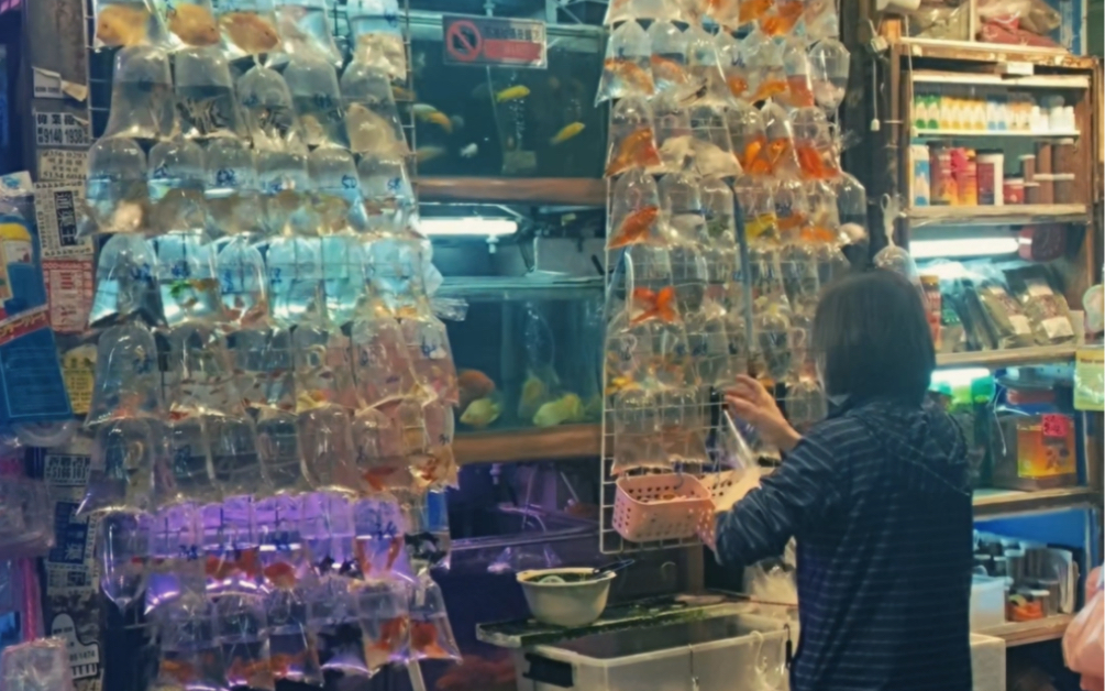 香港金鱼街|梦回王家卫的《重庆森林》