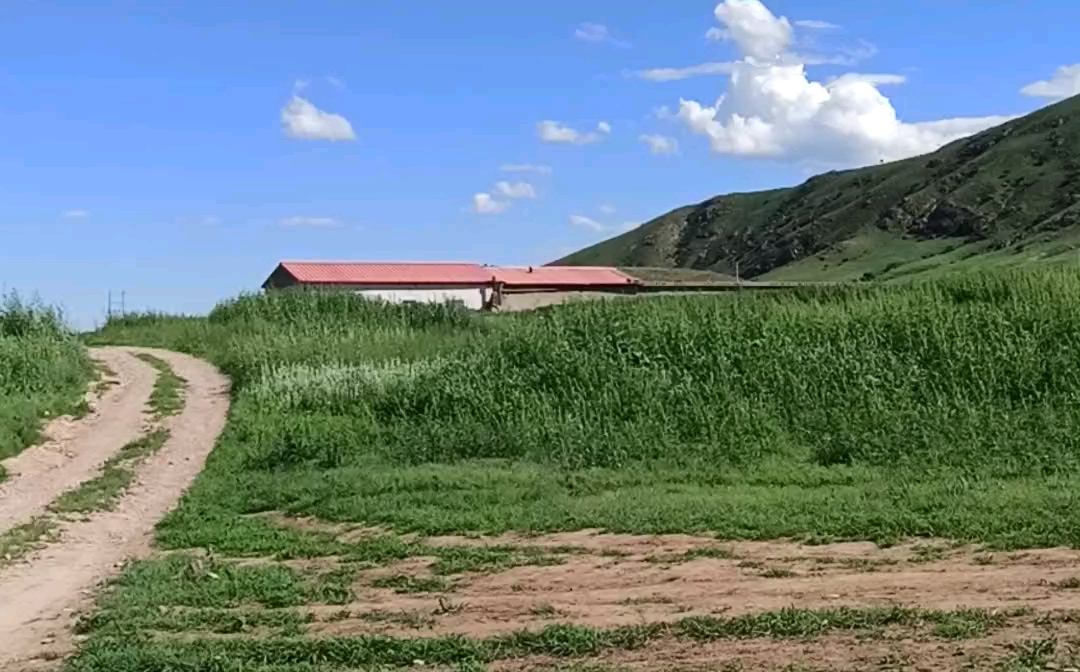 [图]美丽的内蒙古大草原❗