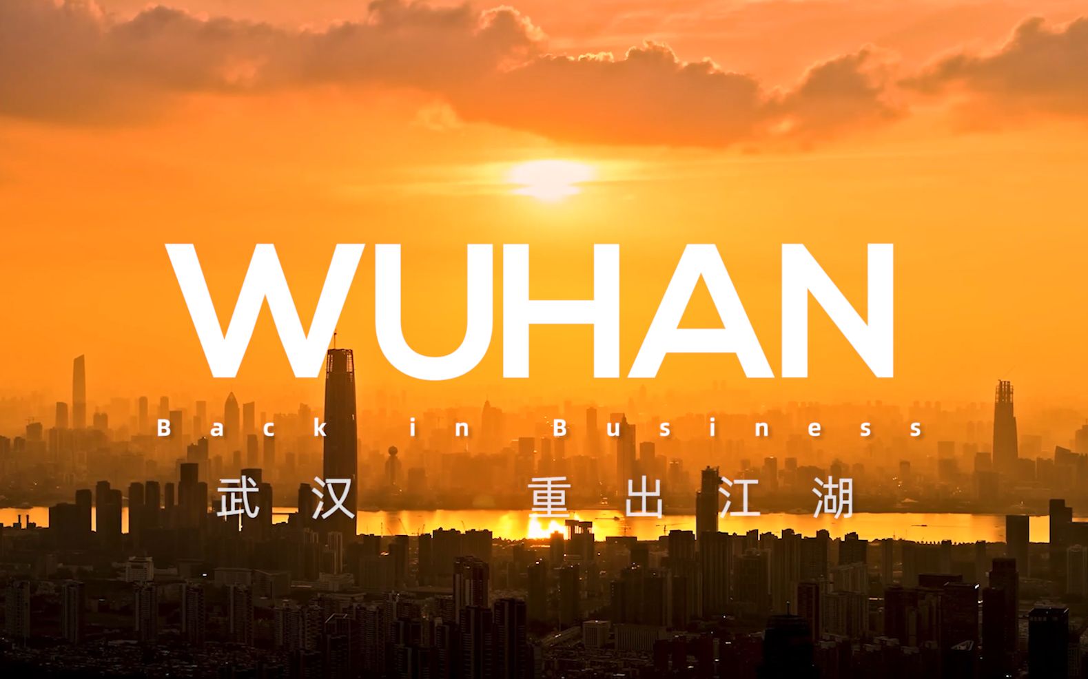 「武汉WUHAN」重生密码哔哩哔哩bilibili