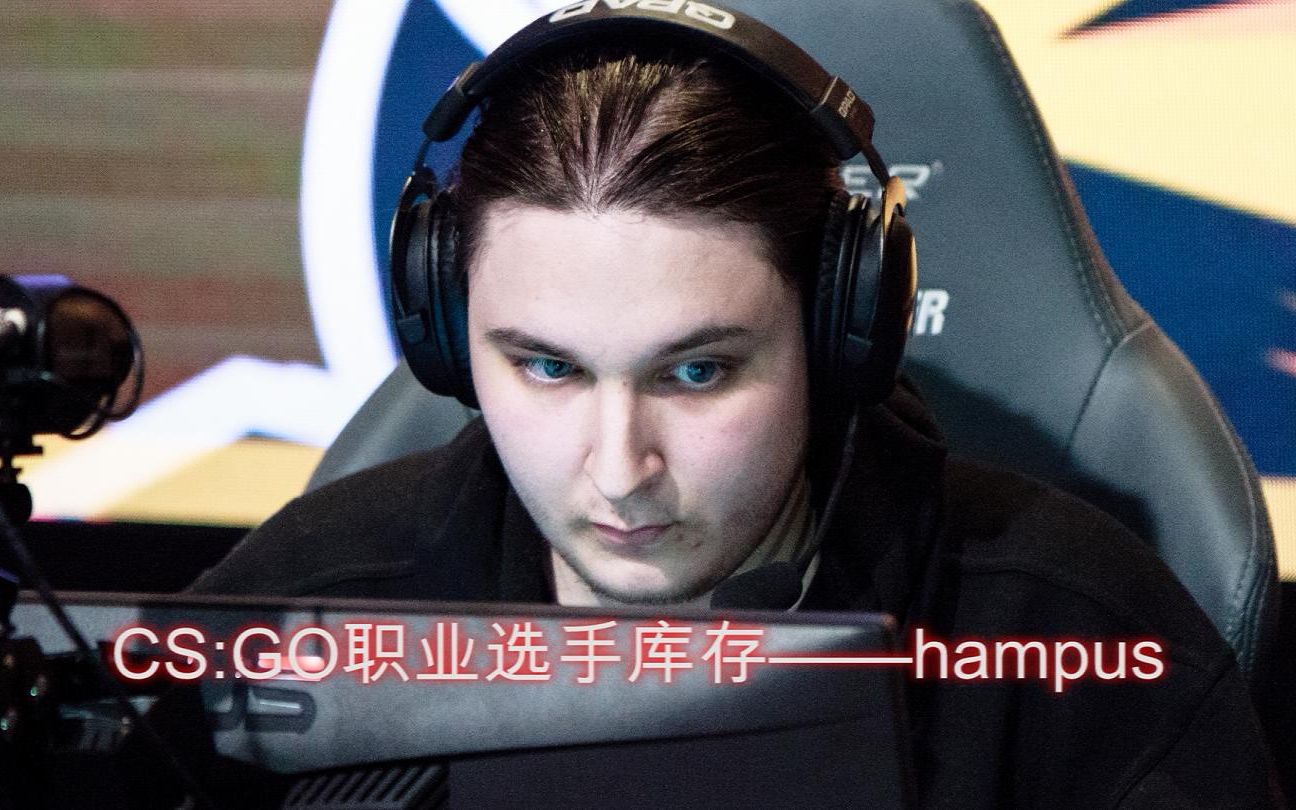 [图]CS:GO职业选手库存——hampus