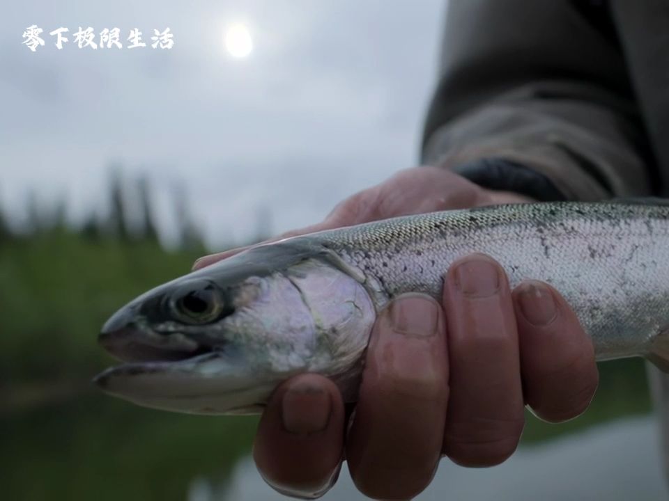 [图]零下极限生活S22E03 过渡