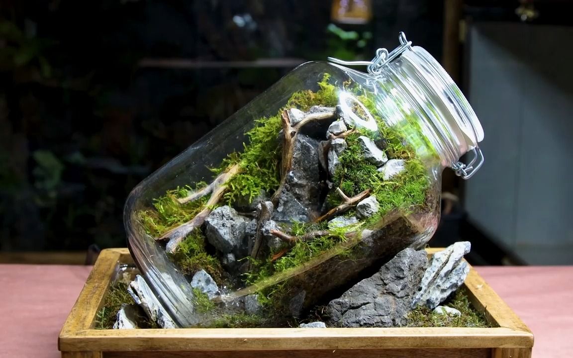 纯手工打造,迷你小瓶景,美不胜收