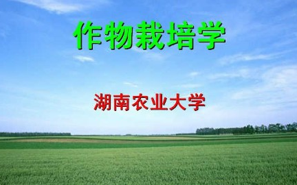 作物栽培学湖南农业大学主讲官春云 89讲哔哩哔哩bilibili