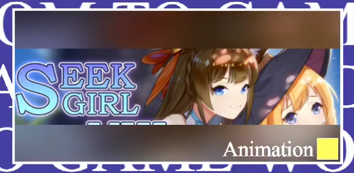 寻找女孩8/seek girl Ⅷ