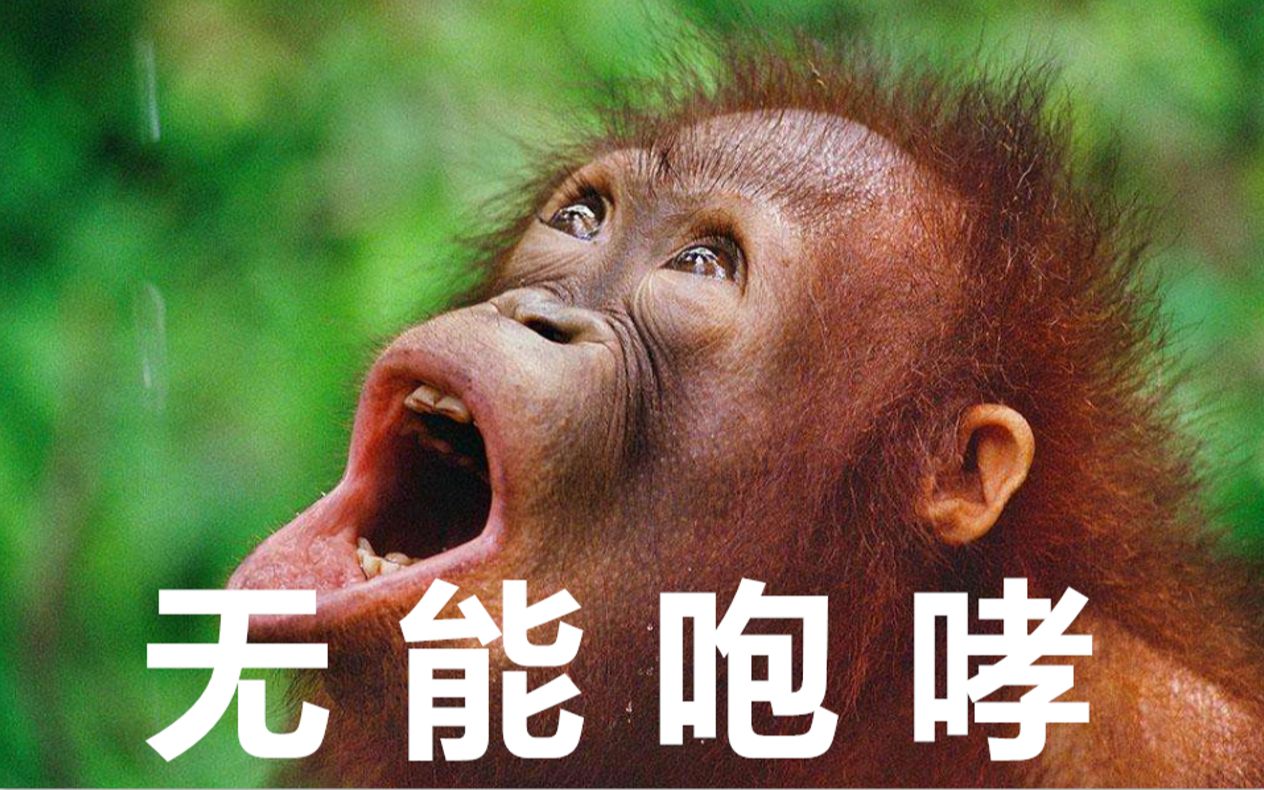 偷窥模拟器一款看猴子的游戏