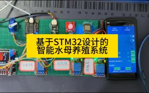 Download Video: 基于STM32设计的智能水母养殖系统