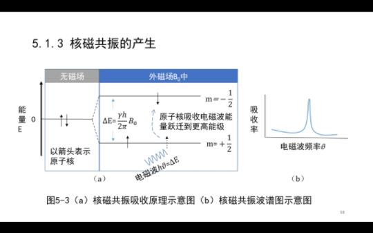 NMR原理——核磁共振的产生哔哩哔哩bilibili