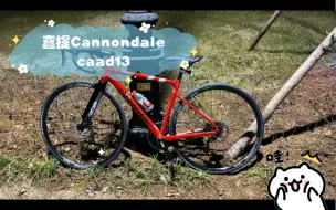 喜提Cannondale caad13，b站老规矩，1个赞5公里1个币10公里