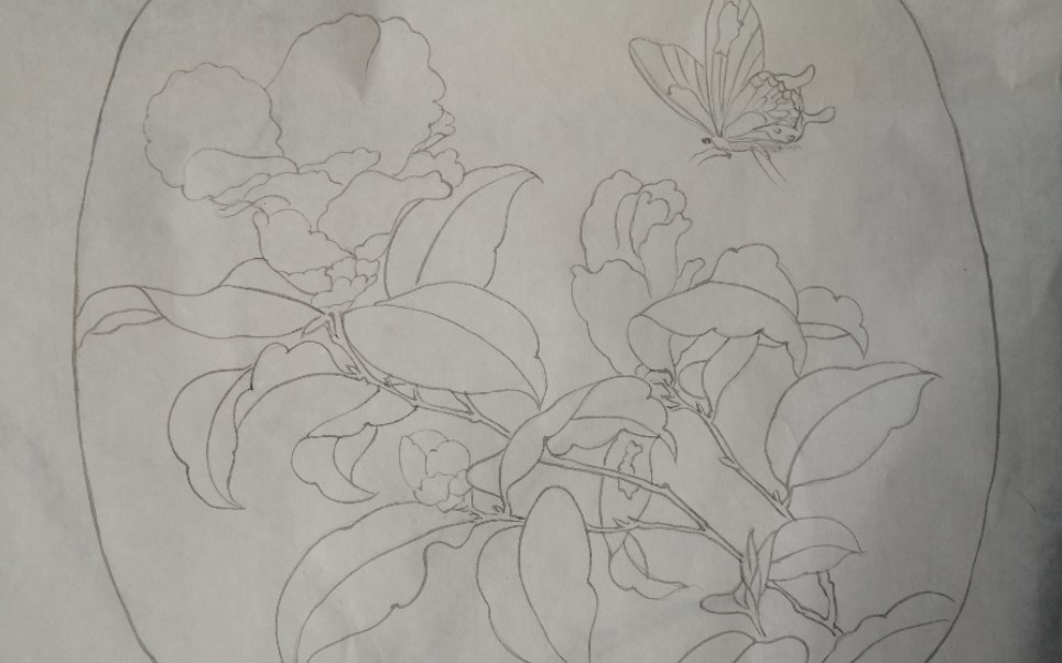 【白描】下雨天最适合在家画画啦之临摹山茶蝴蝶图_哔哩哔哩 (゜-゜)