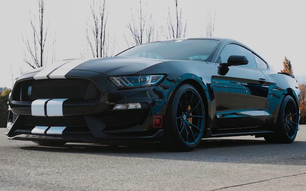 【FORD】桀骜不驯的黑色野马!MUSTANG GT350哔哩哔哩bilibili