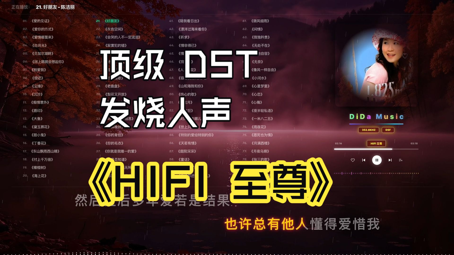 HIFI 至尊「DST」顶级无损歌单/试音碟/KTV歌词/嘀嗒音频播放器