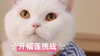 带来福开榴莲，测试他的锦鲤体质