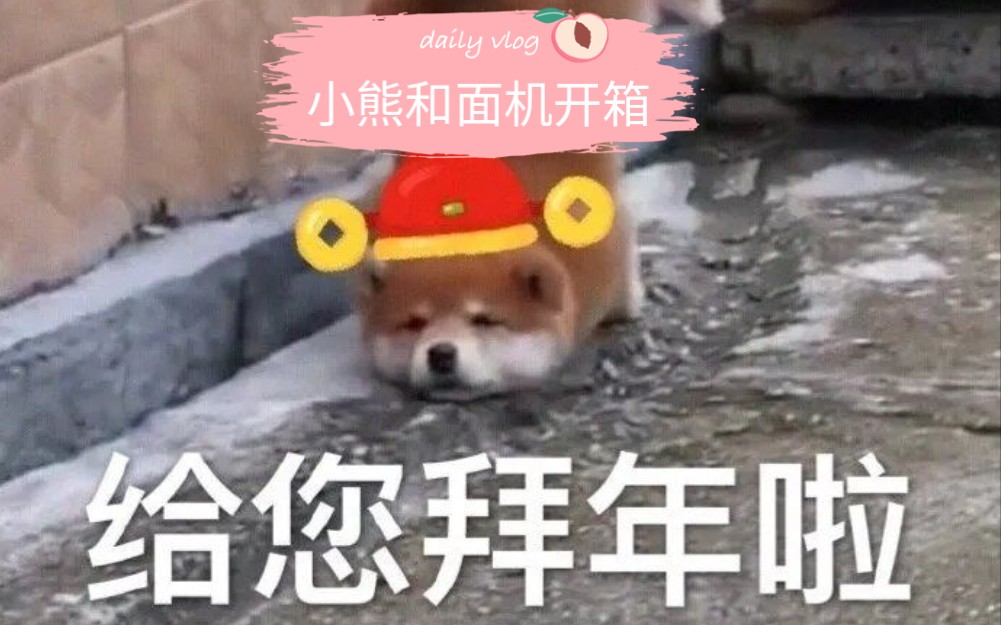 小熊和面机开箱哔哩哔哩bilibili