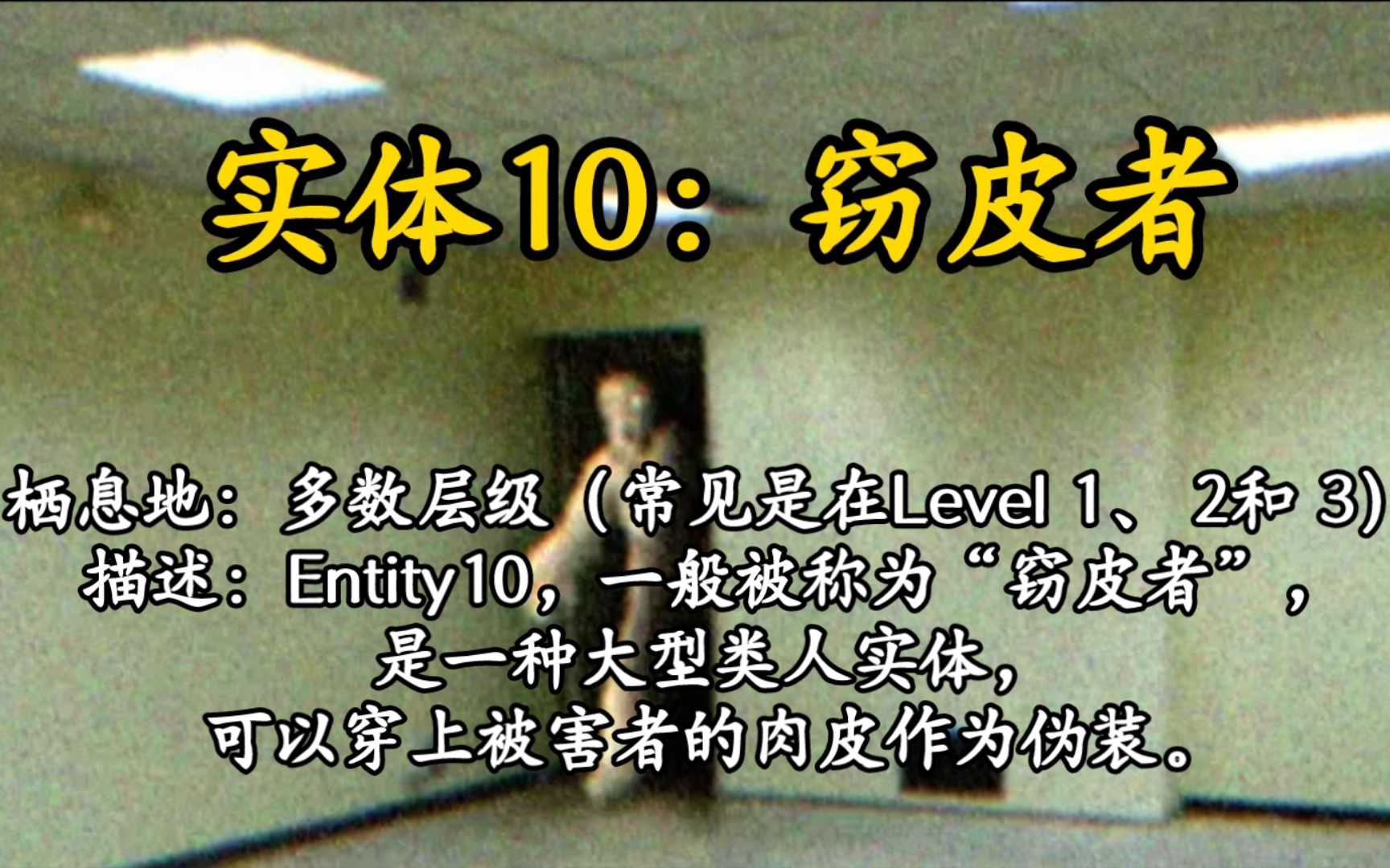 2分钟了解实体10窃皮者.哔哩哔哩bilibili