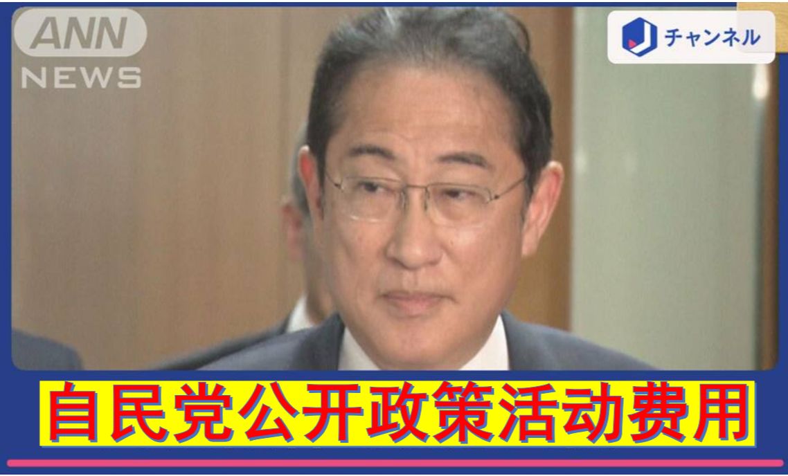 日本透明政治的新起点:自民党决定公开政策活动费用?哔哩哔哩bilibili