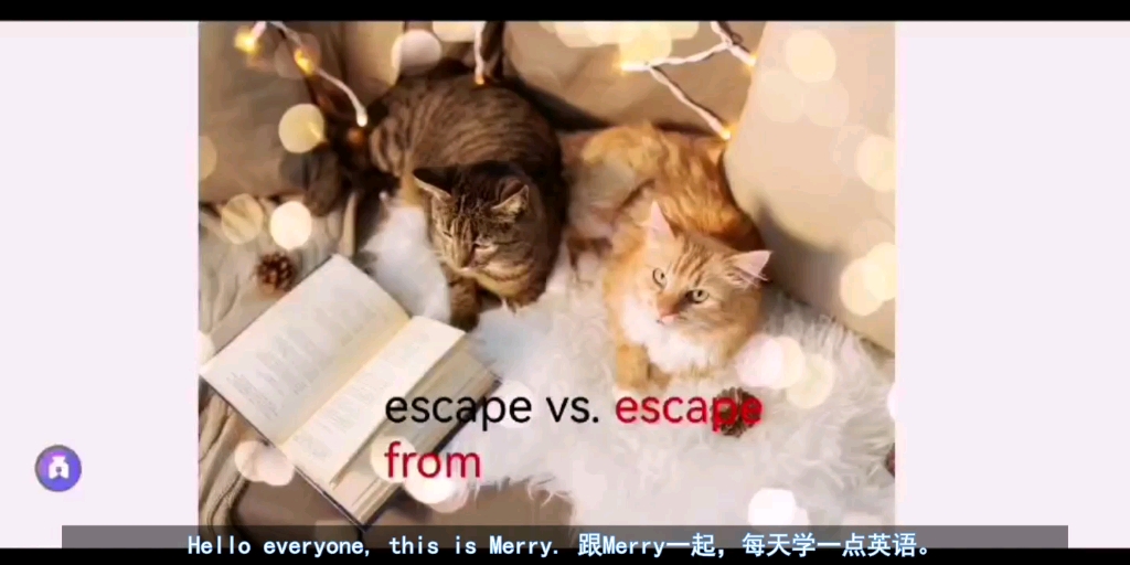 escape vs. escape from 有什么区别?该怎么用?哔哩哔哩bilibili