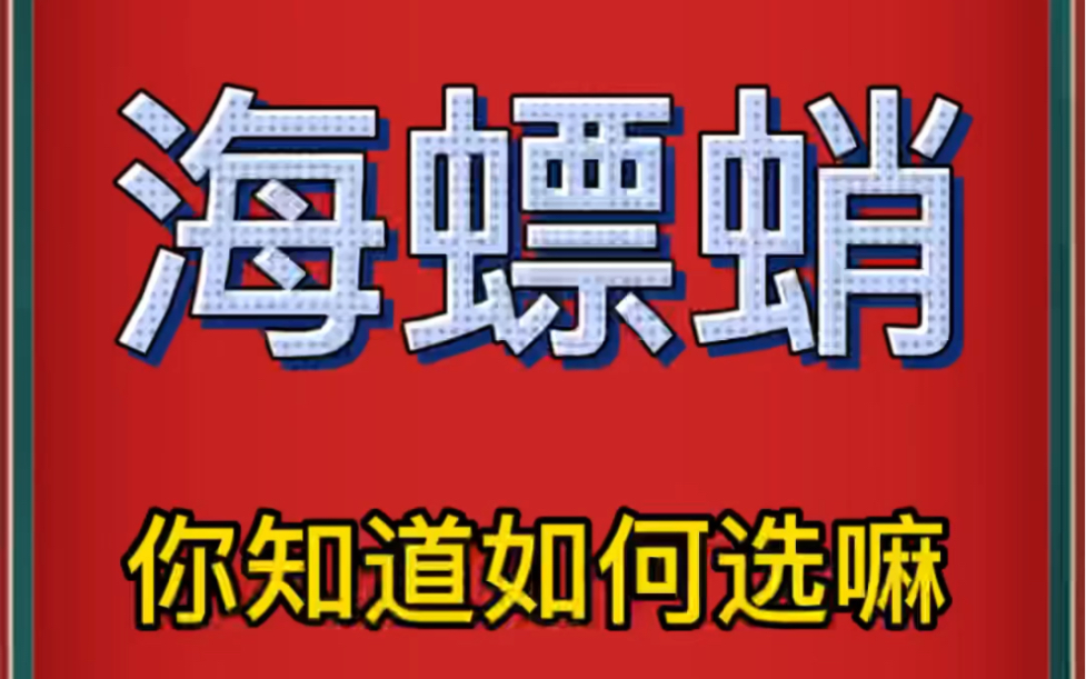 中药材批发市场海螵蛸如何辨别哔哩哔哩bilibili