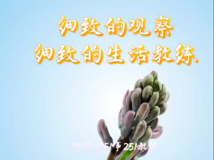 细致的观察细致的生活教练哔哩哔哩bilibili