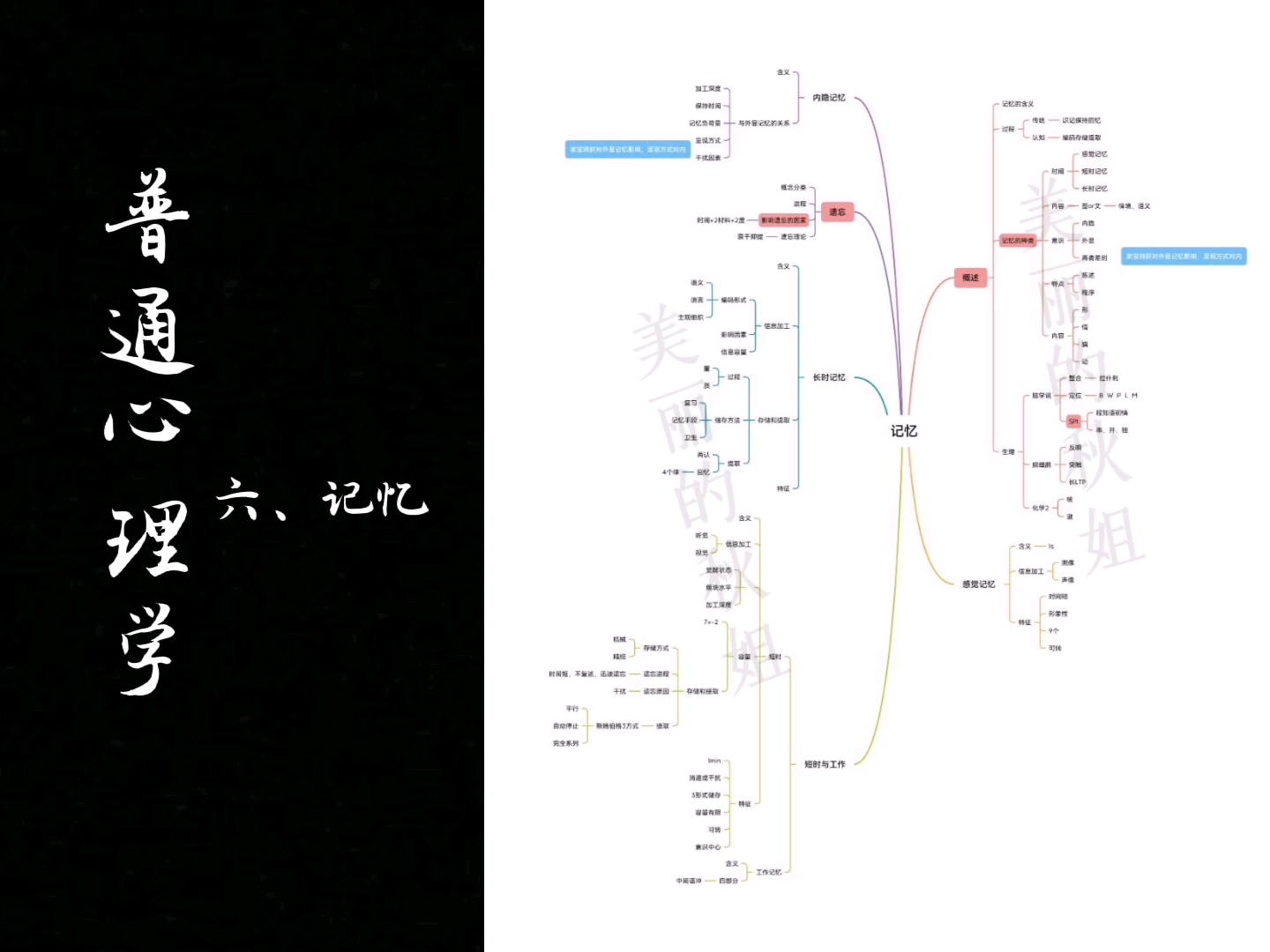 《普通心理学》第六章、记忆(概述、感觉记忆、短时记忆、长时记忆、遗忘)哔哩哔哩bilibili