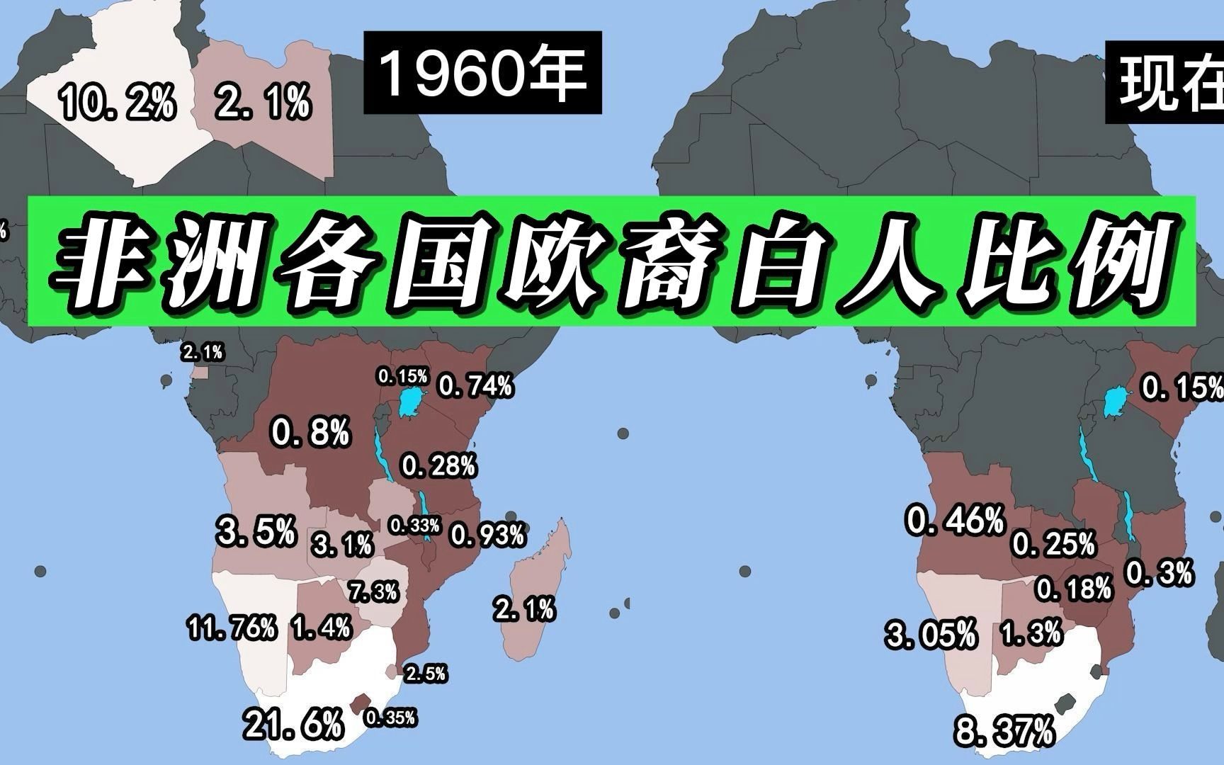 非洲各国的欧洲裔白人的人口比例