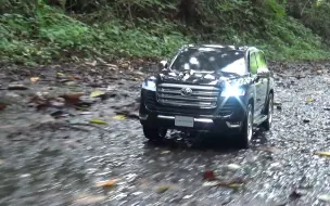 Télécharger la video: 雨后的RC越野 CC-02 LAND CRUISER 300