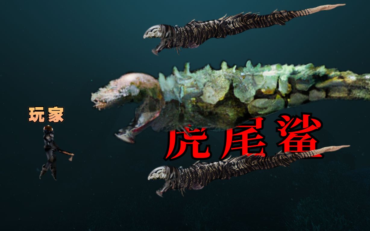 【潜渊症海鲜图鉴IV】外星深海中头部锋利,身体细长的海蛇类生物——虎尾鲨哔哩哔哩bilibili杂谈