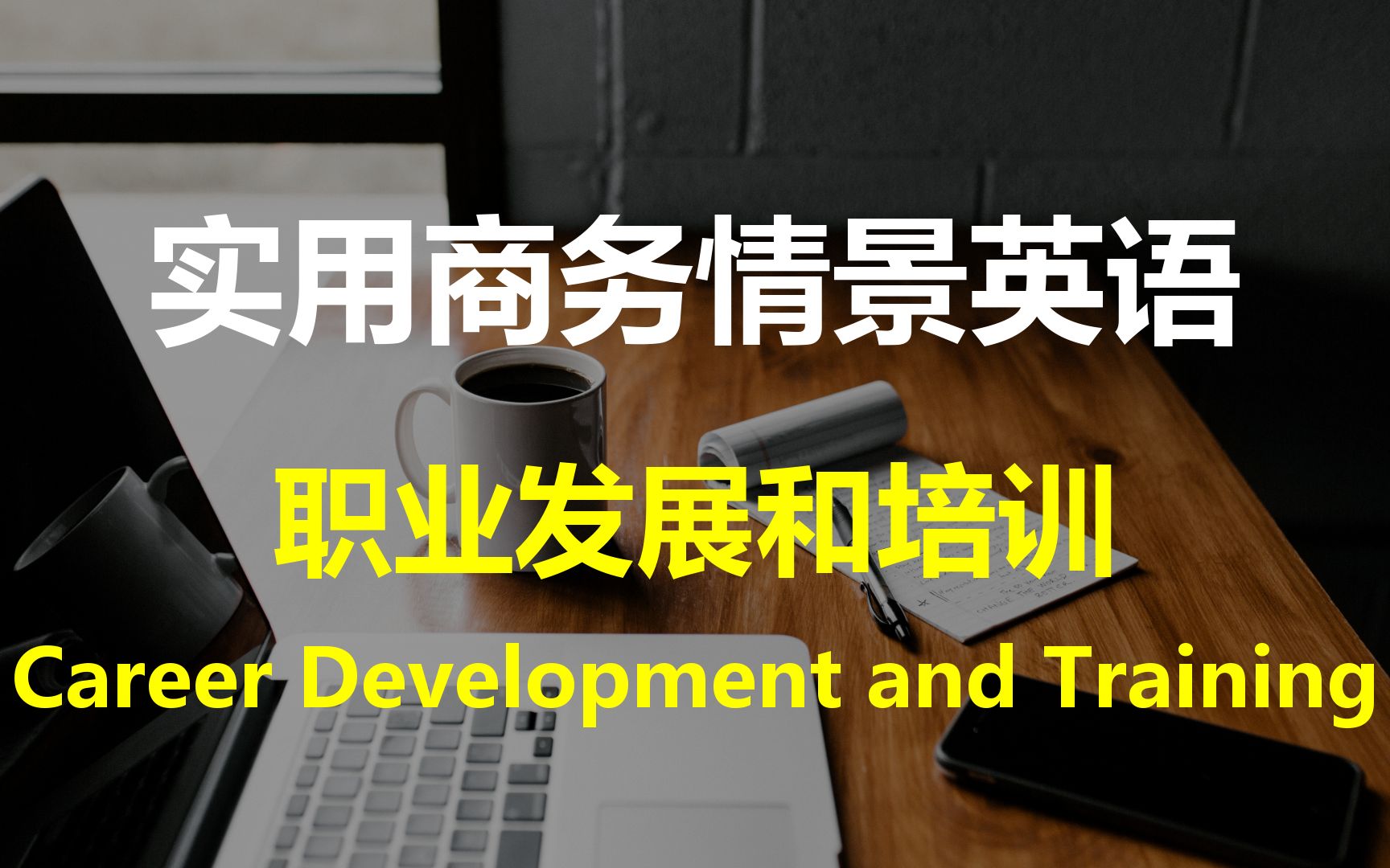 实用高频商务情景对话 职业发展和培训(中英双语)| Career Development and Training哔哩哔哩bilibili