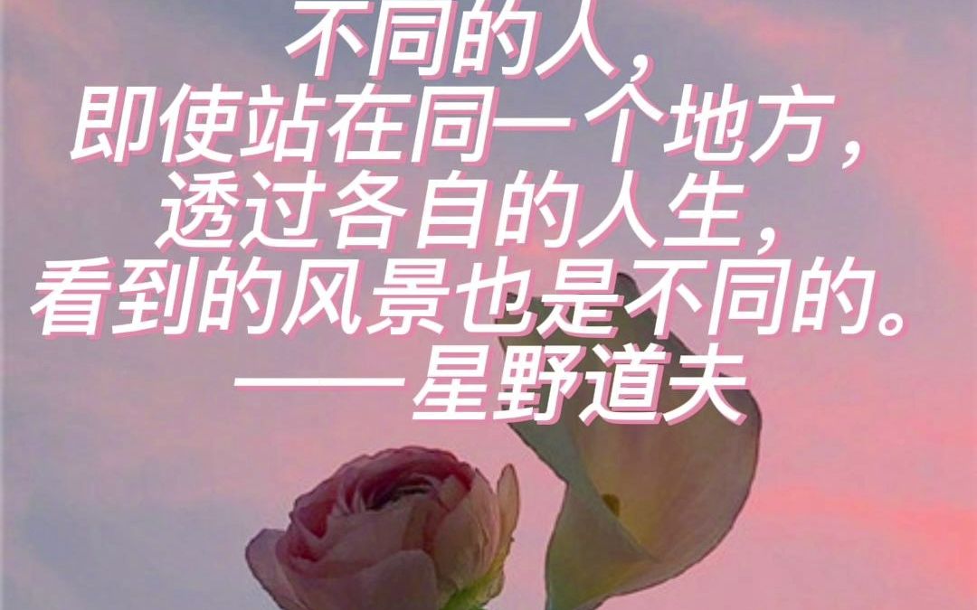 摘名家名句,感世间烟火,品人生百态. 《蔷薇说》第四期哔哩哔哩bilibili