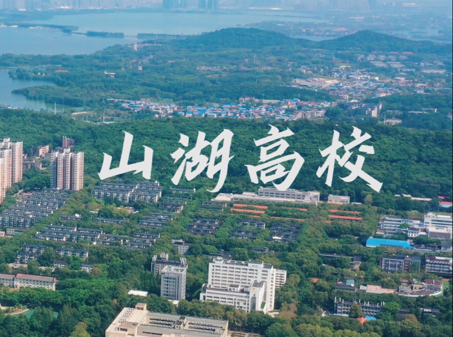 武汉7所双一流大学,全都“占山为王”,坐拥湖景哔哩哔哩bilibili