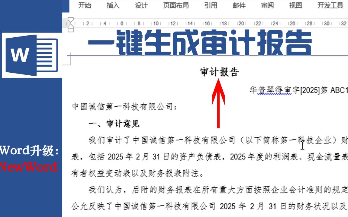 Excel生成Word,NewWord如此生成审计报告哔哩哔哩bilibili