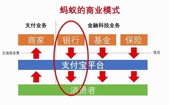 NO55.贝乐斯Newsfeed:蚂蚁啃了大象的命根子哔哩哔哩bilibili