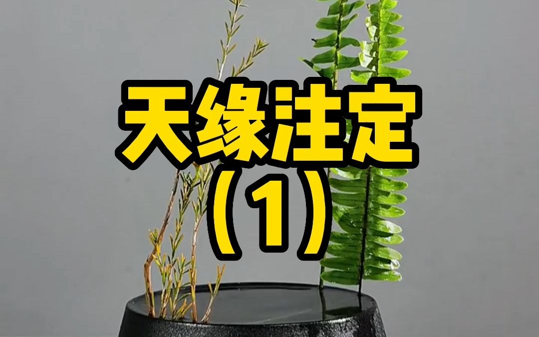 [图]天缘注定（1）