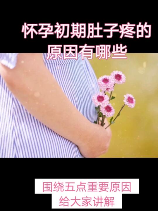 怀孕初期肚子疼的原因有哪些?哔哩哔哩bilibili