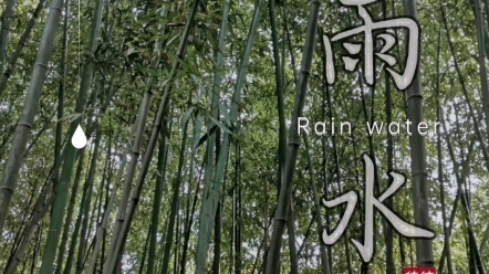 [图]雨水节气 ｜ 春雨诗歌欣赏 ｜ 春夜喜雨 ｜How I Love Spring Rain