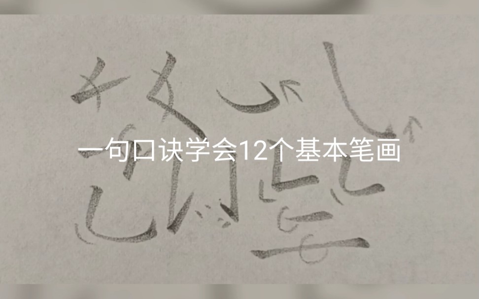 练字必备技巧,12个基本笔画一句口诀学会!哔哩哔哩bilibili