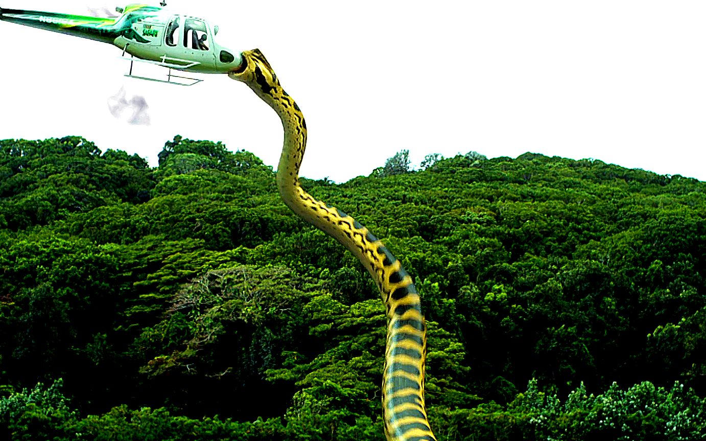 100米长巨型蟒蛇图片