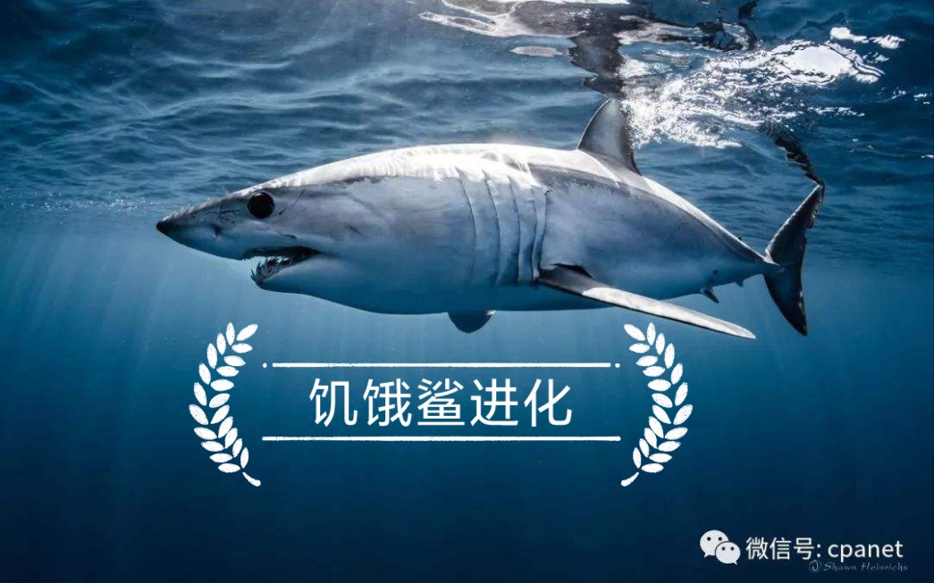 活动作品我用灰鲭鲨拿了七百万分