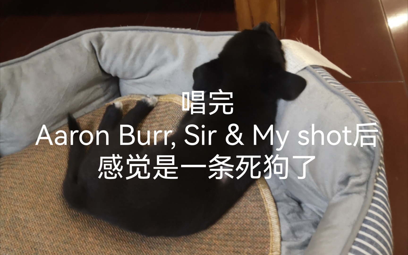 [图]清唱Aaron Burr, Sir & My Shot