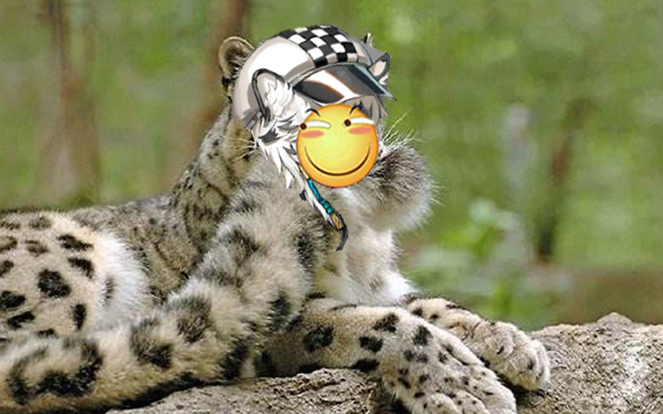 活动作品明日方舟银灰一家雪豹今天又被吓飞了吗