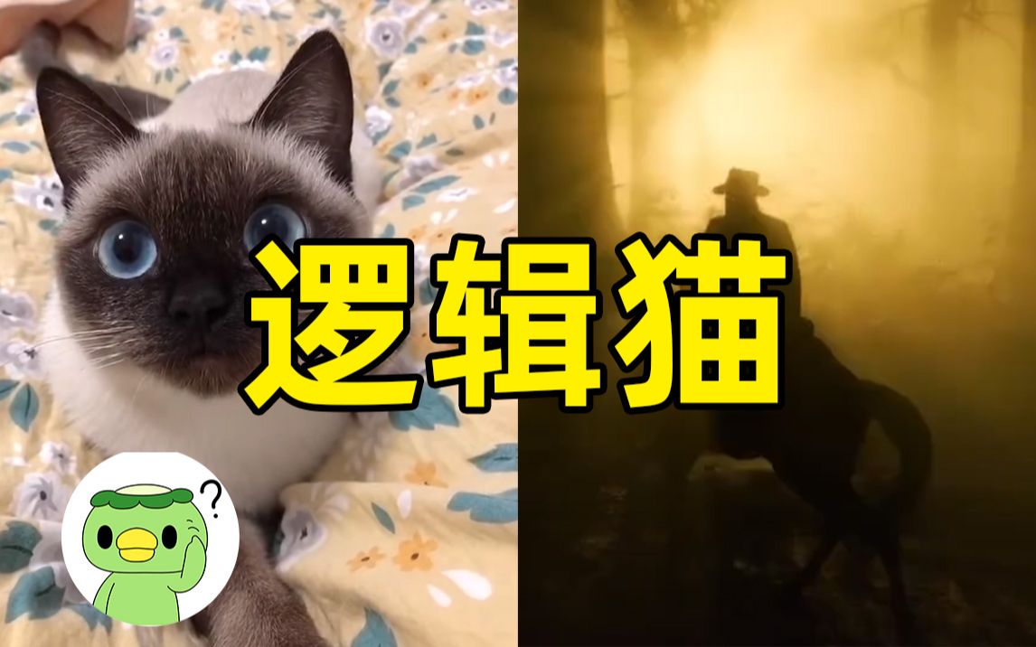 [图]逻辑猫是什么梗？达尔文效应这些都是谁开的头？