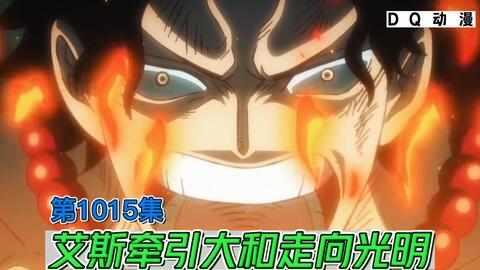 This is One Piece - 1015 - BiliBili