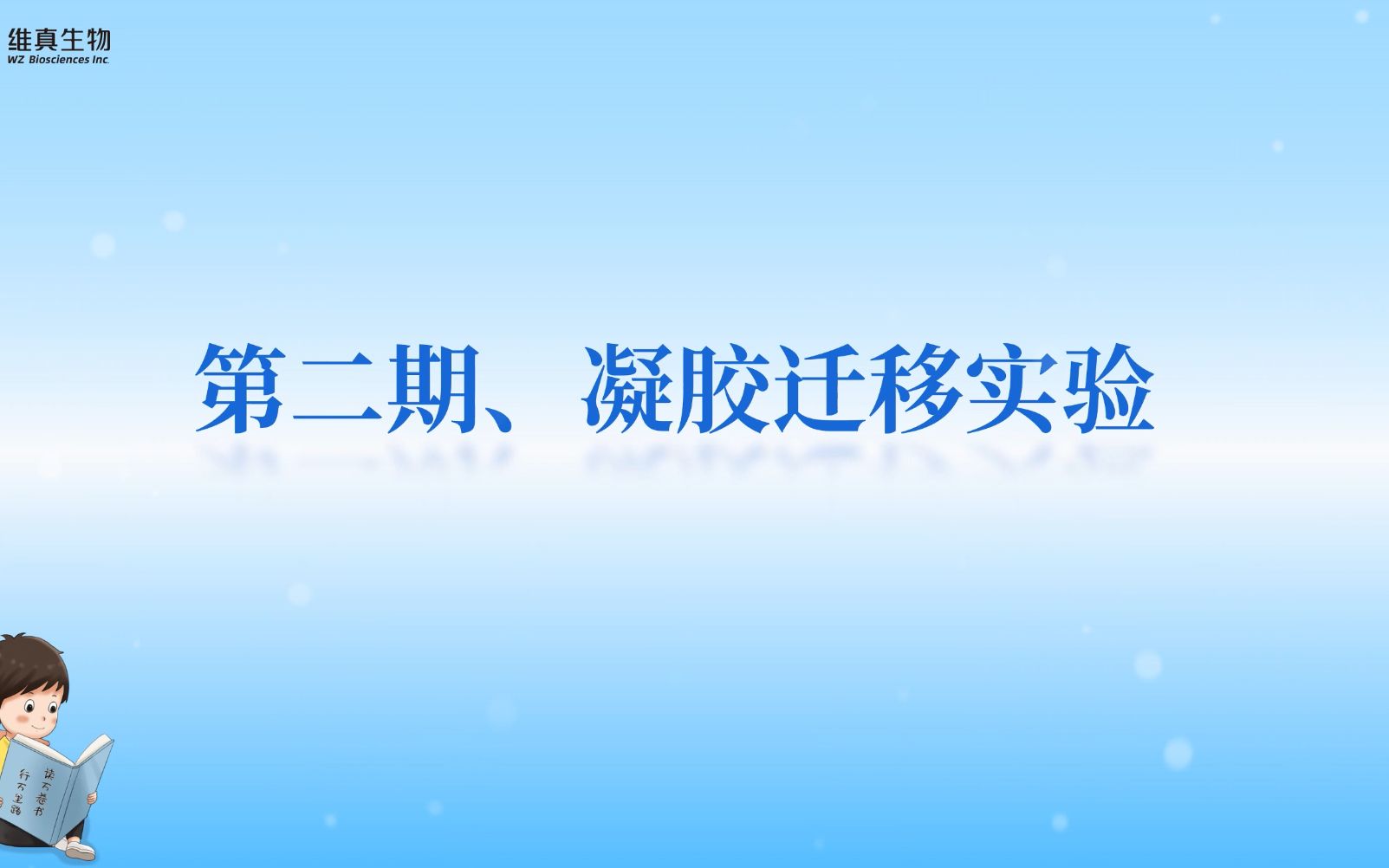 【核酸蛋白互作专题】第2期 凝胶迁移实验哔哩哔哩bilibili