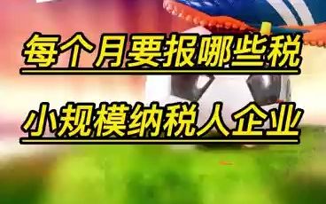 小规模企业每个月要报哪些税哔哩哔哩bilibili