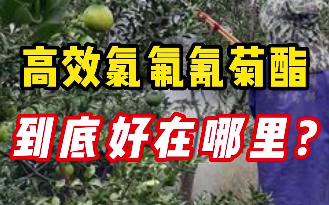 为什么#高效氯氟氰菊酯使用越来越广泛?原因你知道吗?哔哩哔哩bilibili